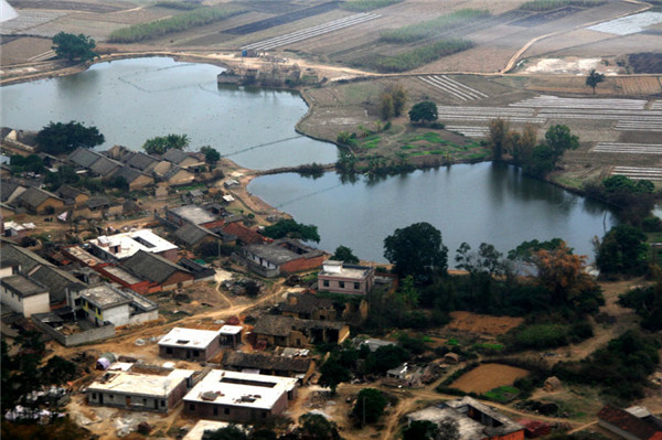 土壤水分對葉片特性有什么影響？