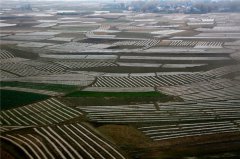 土壤養(yǎng)分速測(cè)儀分析園林樹木土壤肥力