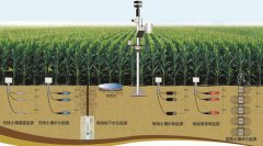 土壤墑情怎么讀，在實(shí)際農(nóng)業(yè)中應(yīng)用怎樣？