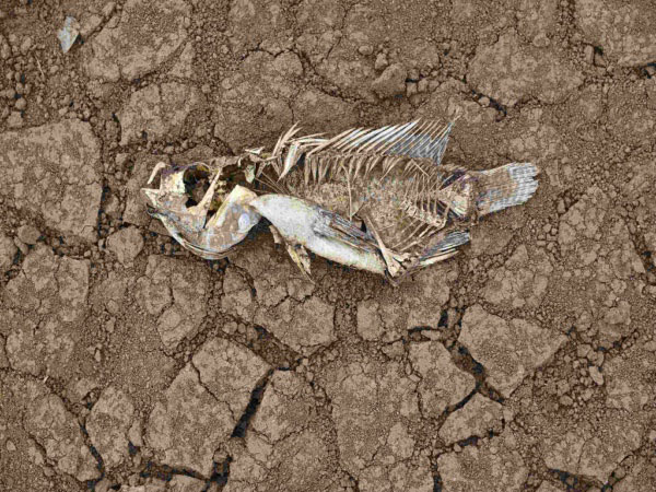 安裝土壤墑情自動監測系統的意義在哪里？