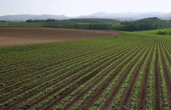 神經網絡法能用于土壤墑情預測嗎？