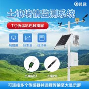 土壤墑情好，夏玉米長勢普遍好