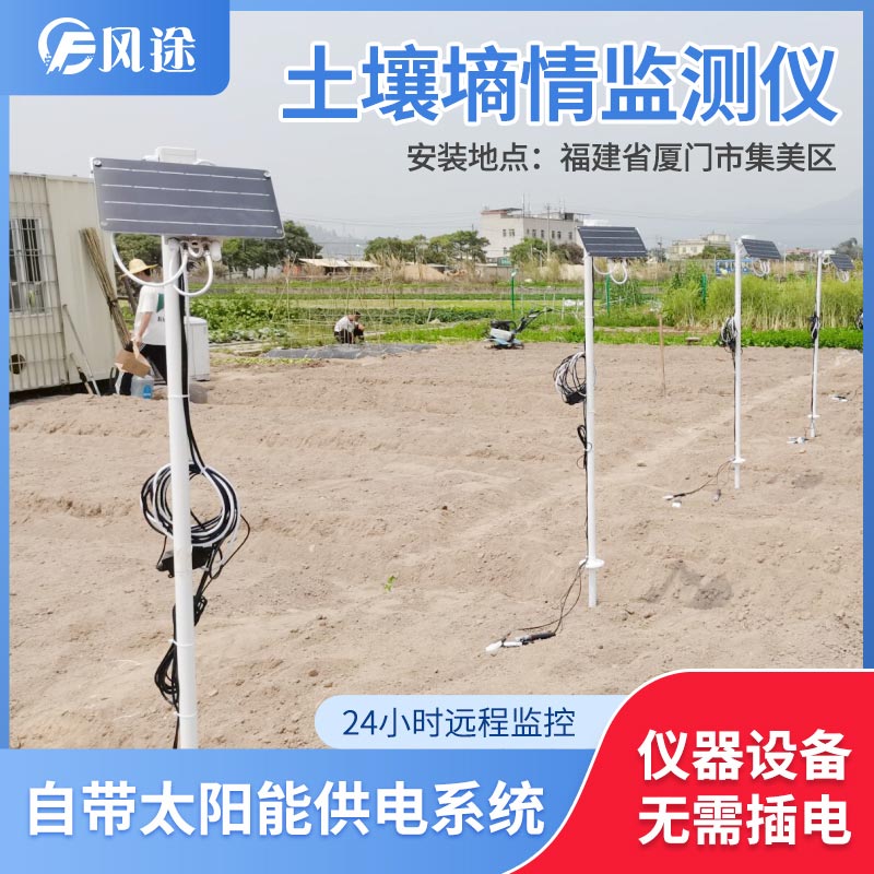 土壤水分實時監測設備是如何在菠蘿園發揮作用的？