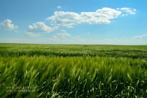 智慧農業帶來了什么？